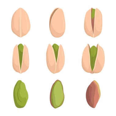 Beyaz arka planda izole edilmiş fıstık koleksiyonu