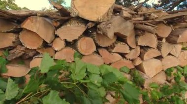 Kışa hazırlanan odun yığınları, kesilip istiflenmiş ağaç kütükleri. Yenilenebilir enerji, doğal kaynaklar. Şömine için odun ve biyolojik yakıt. Avrupa enerji krizi.