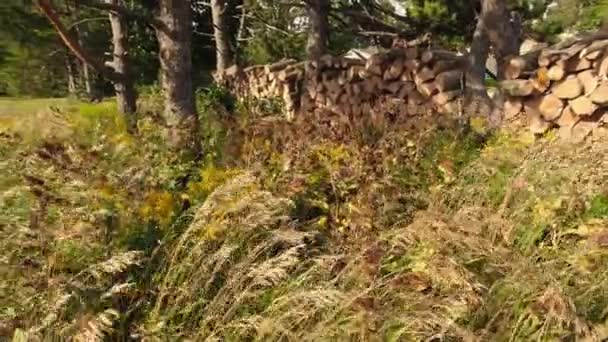 Brennholz Einem Haufen Für Die Winterheizung Mit Kamin Oder Ofen — Stockvideo