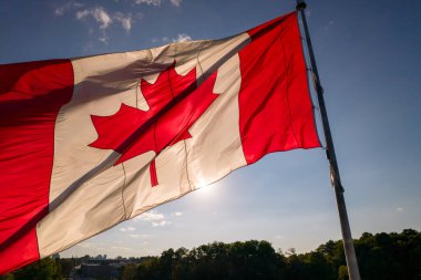 Kanada bayrağı rüzgarda dalgalanır ve yaz akşamları altın saat gelir. Kanada bayrağı Toronto, Ontario, Kanada 'da dalgalanıyor. Kırmızı akçaağaç yaprağıyla Kanada ulusal bayrağı. 