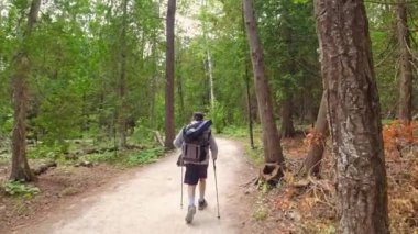 Sırt çantalı ve fotoğraf teçhizatlı bir yürüyüşçü güneşli bir günde köknar ağacı yeşil yaz ormanında yürüyüş yolunda yürüyor. Bruce Yarımadası Ulusal Parkı, Ontario, Kanada.
