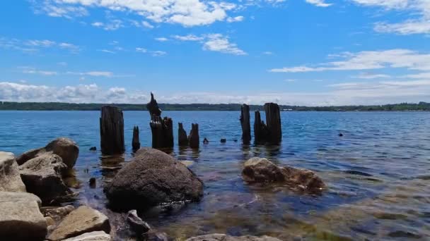 Huron Lake Water Old Withered Wooden Dock Posts Landscape Spirit — Stock Video