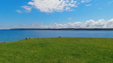 Güneşli bir günde Huron Gölü yakınlarında martı kuşu ve Kanada 'nın Ontario eyaletinin Wiarton kentindeki Spirit Rock Koruma Alanı yakınlarındaki Gürcistan Körfezi' nde de martı..