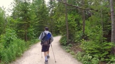 Sırt çantalı ve fotoğraf teçhizatlı bir yürüyüşçü güneşli bir günde köknar ağacı yeşil yaz ormanında yürüyüş yolunda yürüyor. Bruce Yarımadası Ulusal Parkı, Ontario, Kanada.