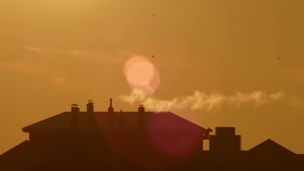 Mglisty Dzień Mroźna Zima Dym Wylatują Komina Dym Kominów Miejskim — Wideo stockowe