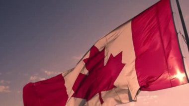 Bayrak direğinde Kanada bayrağı dalgalanıyor. Kanada bayrağı Toronto, Ontario, Kanada 'da sallanıyor.