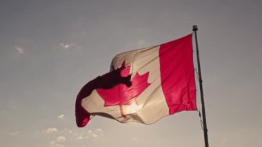Direk yavaş çekim hareketinde akçaağaç yaprağı olan Kanada bayrağı. Yazın mavi gökyüzünde dalgalanan Kanada bayrağı. Kanada bayrağı rüzgarda dalgalanıyor.