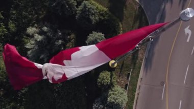 Direkte Kanada bayrağı ağır çekimde. Kanada Ulusal Bayrağı. Kanada Günü, yani Dominyon Günü, Kanada 'nın ulusal günüdür ve Kanada Konfederasyonu' nun kuruluş yıldönümünü kutlar..