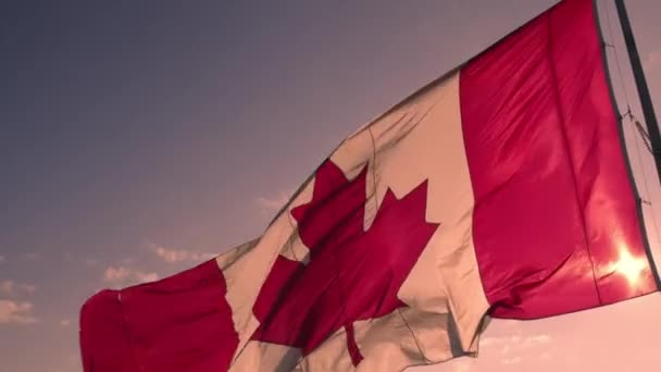 Canadese Vlag Wappert Vlaggenmast Nationale Vlag Van Canada Zwaaiend Toronto — Stockvideo