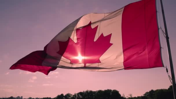 Canadese Vlag Bij Wind Blauwe Bewolkte Hemel Gouden Uur Zon — Stockvideo