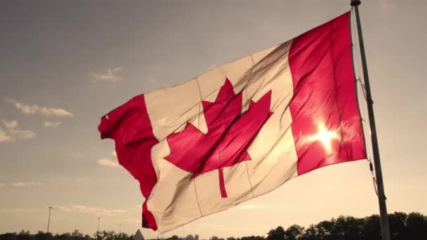 Bendera Kanada Dengan Daun Maple Pada Gerakan Gerakan Lambat Tiang — Stok Video
