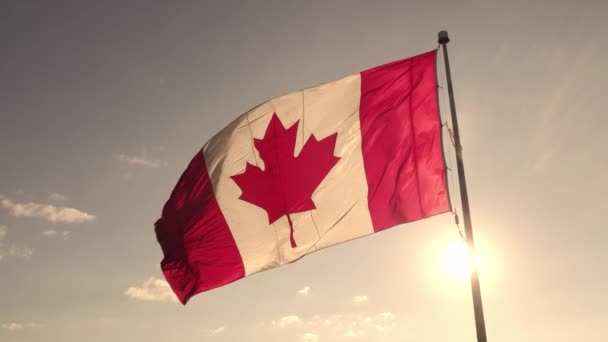 Канадський Прапор Під Вітром Блакитне Хмарне Небо Золоте Сонце Щасливого — стокове відео