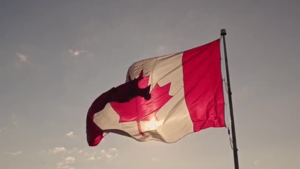 加拿大国旗 有枫叶在杆子慢动作 加拿大国旗在夏日蓝天下飘扬 加拿大国旗在风中飘扬 — 图库视频影像