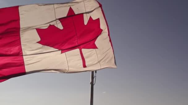 Canadian Flag Slow Motion Mast Toronto City Ontario Canada Remembrance — Stock Video