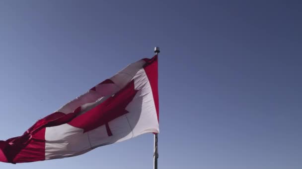 Kanadyjska Flaga Wietrze Niebieskie Zachmurzone Niebo Złote Słońce Szczęśliwa Koncepcja — Wideo stockowe