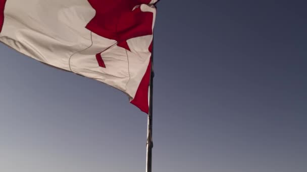 Canadian Flag Slow Motion Mast Toronto City Ontario Canada Remembrance — Video