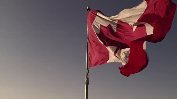 Canadian Flag Wind Blue Cloudy Sky Golden Hour Sun Happy — Vídeo de Stock