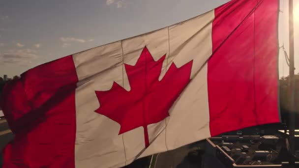 カナダのオンタリオ州トロント 2022年8月1日 カナダの国旗がマストで飛ぶ カナダの国旗がカナダのオンタリオ州トロントで名誉のために手を振っている — ストック動画