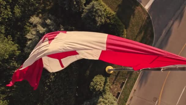 カナダ国旗が旗竿に掲揚される カナダの国旗がカナダのオンタリオ州トロントで名誉のために手を振っている — ストック動画