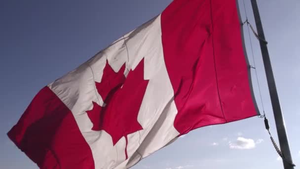 Canadian Flag Flies Flagpole National Flag Canada Waving Toronto Ontario — Vídeo de Stock