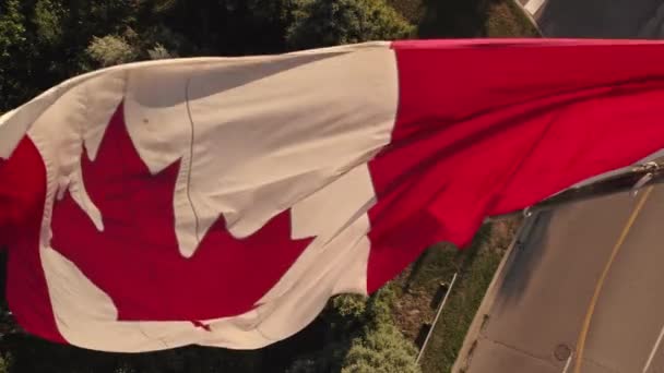 カナダの旗はマストでゆっくりと動きます カナダの国旗 ドミニオンの日として知られているカナダの日のお祝いは カナダ連盟の記念日を祝うカナダの国民の日です — ストック動画