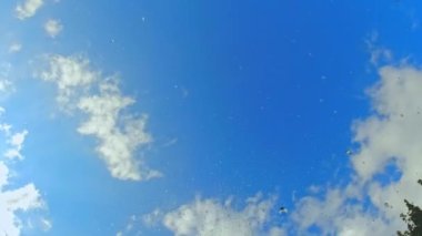 Abstract ambient nautical summer sea sunset and natural background. Calm ocean water. Small breeze waves on water surface motion. Holiday vacation and recreation. Slow motion.