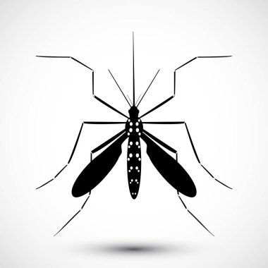 İzole edilmiş çizilmiş sivrisinek. Doğa Aedes Aegypti. Eğitimsel, bilgilendirici ya da ilgili sağlık danışmanları için idealdir. Düzenlenebilir vektör