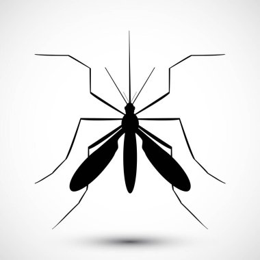 İzole edilmiş çizilmiş sivrisinek. Doğa Aedes Aegypti. Eğitimsel, bilgilendirici ya da ilgili sağlık danışmanları için idealdir. Düzenlenebilir vektör