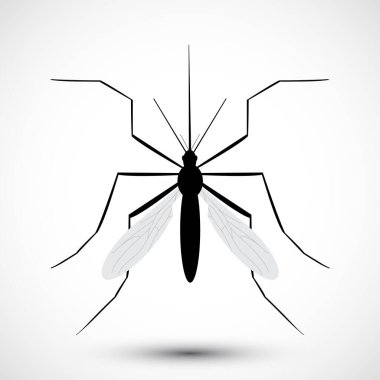 İzole edilmiş çizilmiş sivrisinek. Doğa Aedes Aegypti. Eğitimsel, bilgilendirici ya da ilgili sağlık danışmanları için idealdir. Düzenlenebilir vektör