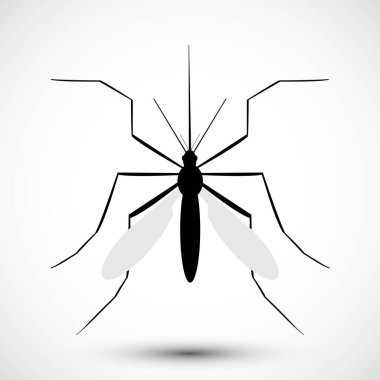 İzole edilmiş çizilmiş sivrisinek. Doğa Aedes Aegypti. Eğitimsel, bilgilendirici ya da ilgili sağlık danışmanları için idealdir. Düzenlenebilir vektör