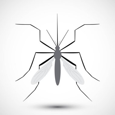 İzole edilmiş çizilmiş sivrisinek. Doğa Aedes Aegypti. Eğitimsel, bilgilendirici ya da ilgili sağlık danışmanları için idealdir. Düzenlenebilir vektör