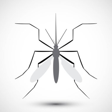 İzole edilmiş çizilmiş sivrisinek. Doğa Aedes Aegypti. Eğitimsel, bilgilendirici ya da ilgili sağlık danışmanları için idealdir. Düzenlenebilir vektör