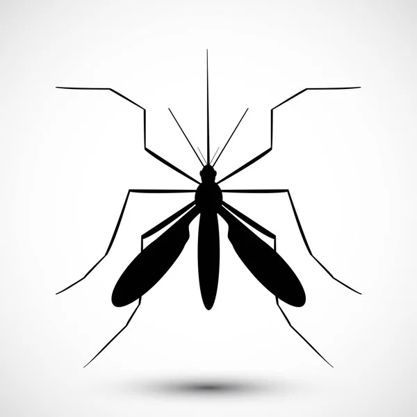 İzole edilmiş çizilmiş sivrisinek. Doğa Aedes Aegypti. Eğitimsel, bilgilendirici ya da ilgili sağlık danışmanları için idealdir. Düzenlenebilir vektör