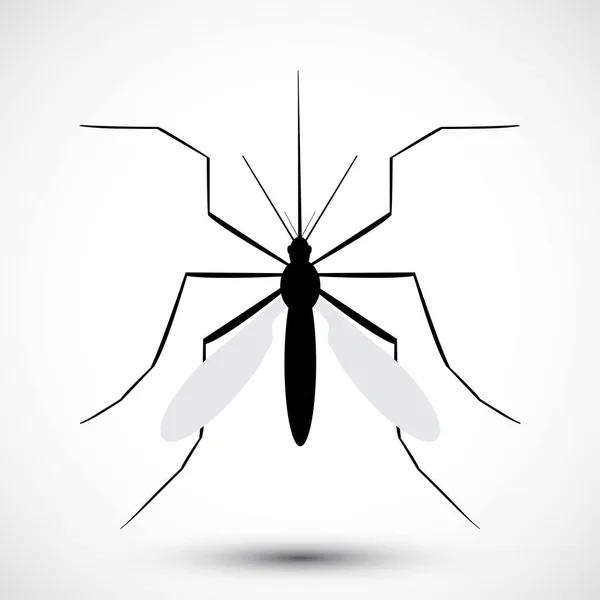 Stock vector Isolated  illustrated Mosquito. Nature Aedes Aegypti. Ideal for educational, informational, or related health advisory. Editable vector