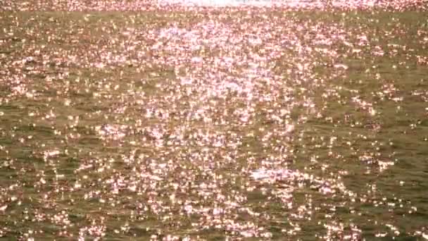 Bílá Záře Mořskou Vodu Nebo Oceán Sluneční Svit Světlo Prosakuje — Stock video