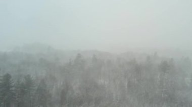 Heavy snowfall in the forest. Snowstorm landscape with falling snow at pine trees valley and river during heavy snow storm at winter. Dense snow wall. View through heavy snow at mountains.