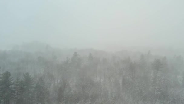 Silný Sníh Lese Sněhová Bouře Krajina Padajícím Sněhem Údolí Borovic — Stock video