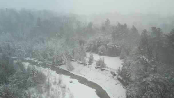 Silný Sníh Lese Sněhová Bouře Krajina Padajícím Sněhem Údolí Borovic — Stock video
