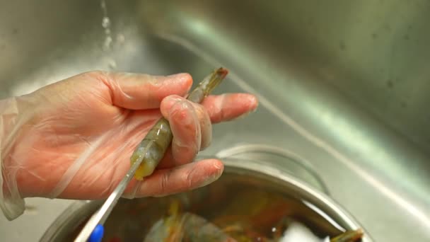 Proces Czyszczenia Rąk Skórki Skorupy Krewetek Kobieta Sprzątanie Surowe Krewetki — Wideo stockowe