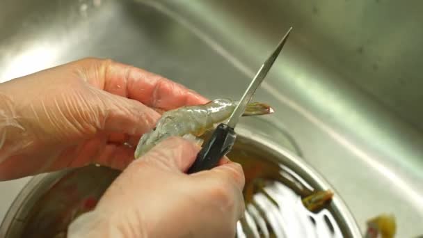 Process Hand Cleaning Peel Shrimps Shell Woman Cleaning Raw King — Video