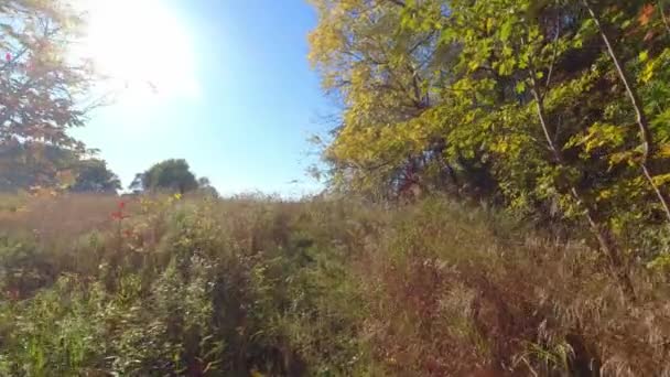 Procházky Šťastný Podzim Krásné Přírodní Zeleně Pozadí Koncepce Ekologie Ochrany — Stock video