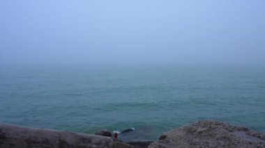 Foggy Lake Ontario sahnesi Kanada 'da ağır çekimde. Mistik karanlık sisli manzaralı kış mevsimi. Korkunç mistik ağır sis dumanı ve sis havası..