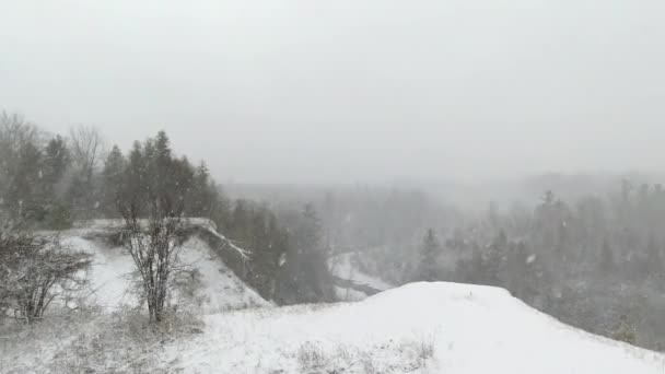 Silná Sněhová Bouře Lese Příroda Počasí Pozadí Zimní Krajina Během — Stock video