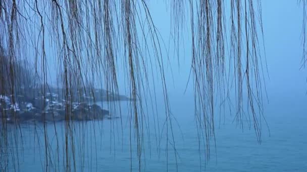 Foggy Lake Ontario Scene Canada Sakte Film Vintersesong Med Mystisk – stockvideo