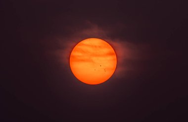 Yüzeyinde güneş lekeleri olan sisli kızıl güneş. Yanan orman yangınlarının yol açtığı iklim değişikliği yoğun duman ve güneşin yoğun ışığını engelleyen düşük hava kalitesi yaratır.