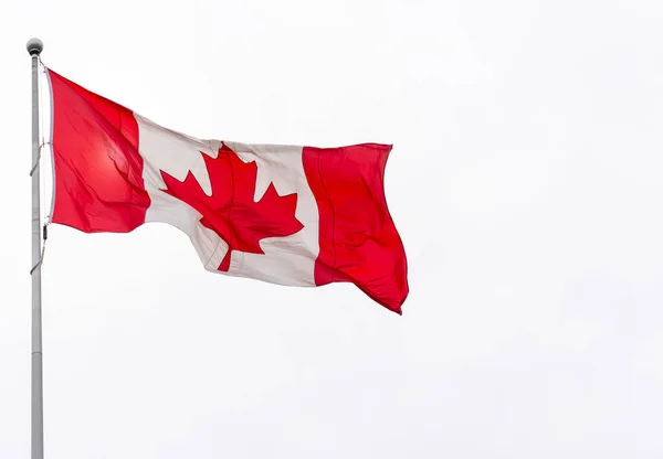 Majestätische Kanadische Flagge Weht Vereinzelt Weißen Himmel Kanadische Flagge Weht — Stockfoto