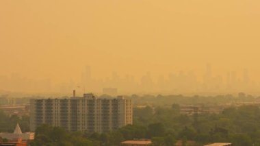 Ontario ve Quebec 'ten çıkan duman sisli hava ve güneş yaratıyor. Yangın ve ağır duman bulutu çevresel felakete, yoğun dumana ve düşük hava kalitesine ve görünürlüğe yol açıyor.