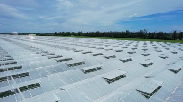 大きな野菜温室成長トマトの上を飛んでいます 半透明な屋根の温室 上からの眺め 大きな工業用温室 野菜を収穫する近代的な緑の庭 — ストック動画
