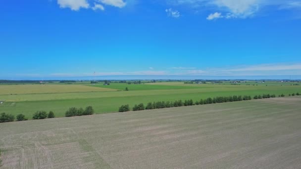 Snímek Kanady Jižní Krajiny Letní Sezóně Pohled Shora Zemědělské Podniky — Stock video