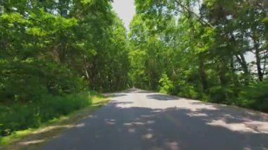 Point Pelee Yolu. POV, arka araba görüntüsü. Yeşil yaz ağaçlarının tünelinde gezinen manzara. Yaz tatili macerasında araba sürerken yeşil kemer: Leamington, Ontario, Kanada - 20 Haziran 2023